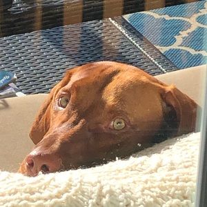 Meet your Posher, Jen